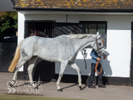 NH051025-19 - The Carpenter